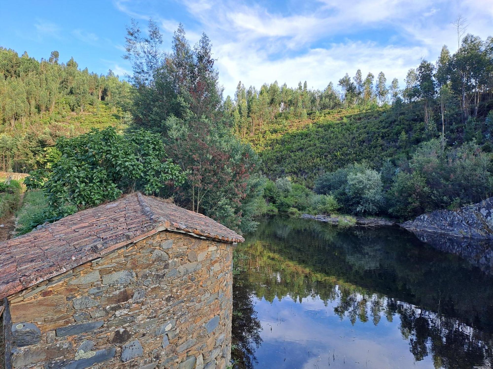 Bed and Breakfast Vista Castelo Sertã Exterior foto